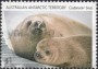 动物:大洋洲:澳属南极:aat201801.jpg