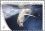 动物:大洋洲:澳属南极:aat201802.jpg