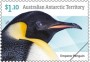 动物:大洋洲:澳属南极:aat202201.jpg