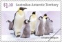 动物:大洋洲:澳属南极:aat202202.jpg