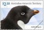 动物:大洋洲:澳属南极:aat202203.jpg