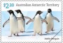 动物:大洋洲:澳属南极:aat202204.jpg