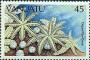 动物:大洋洲:瓦努阿图:vu198602.jpg