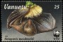 动物:大洋洲:瓦努阿图:vu199601.jpg