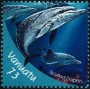 动物:大洋洲:瓦努阿图:vu200002.jpg
