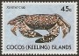 动物:大洋洲:科科斯群岛:cc199001.jpg