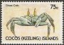 动物:大洋洲:科科斯群岛:cc199002.jpg