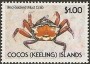 动物:大洋洲:科科斯群岛:cc199003.jpg
