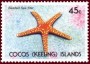 动物:大洋洲:科科斯群岛:cc199101.jpg