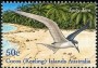 动物:大洋洲:科科斯群岛:cc200302.jpg