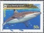 动物:大洋洲:科科斯群岛:cc200501.jpg