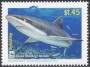 动物:大洋洲:科科斯群岛:cc200504.jpg