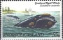 动物:大洋洲:诺福克:nf198202.jpg