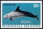 动物:大洋洲:马绍尔群岛:mh198402.jpg