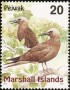 动物:大洋洲:马绍尔群岛:mh199903.jpg