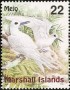 动物:大洋洲:马绍尔群岛:mh199904.jpg