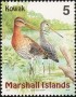 动物:大洋洲:马绍尔群岛:mh199909.jpg