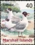 动物:大洋洲:马绍尔群岛:mh199910.jpg