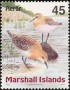动物:大洋洲:马绍尔群岛:mh199911.jpg