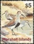 动物:大洋洲:马绍尔群岛:mh199916.jpg