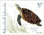 动物:大洋洲:马绍尔群岛:mh200204.jpg