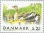 动物:欧洲:丹麦:dk199902.jpg