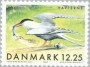 动物:欧洲:丹麦:dk199904.jpg