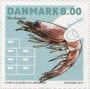 动物:欧洲:丹麦:dk201703.jpg