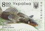 动物:欧洲:乌克兰:ua201910.jpg
