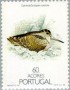 动物:欧洲:亚速尔群岛:pta198802.jpg
