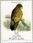 动物:欧洲:亚速尔群岛:pta198804.jpg