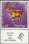 动物:欧洲:以色列:il196701.jpg