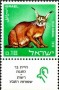 动物:欧洲:以色列:il196702.jpg