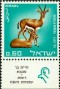 动物:欧洲:以色列:il196703.jpg