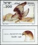 动物:欧洲:以色列:il198502.jpg