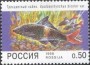 动物:欧洲:俄罗斯:ru199801.jpg