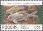 动物:欧洲:俄罗斯:ru199803.jpg