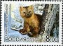 动物:欧洲:俄罗斯:ru200501.jpg