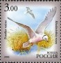 动物:欧洲:俄罗斯:ru200601.jpg
