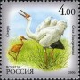 动物:欧洲:俄罗斯:ru200602.jpg