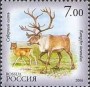 动物:欧洲:俄罗斯:ru200605.jpg