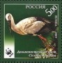 动物:欧洲:俄罗斯:ru200701.jpg
