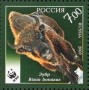 动物:欧洲:俄罗斯:ru200702.jpg