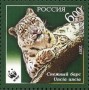 动物:欧洲:俄罗斯:ru200703.jpg