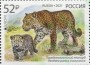 动物:欧洲:俄罗斯:ru202101.jpg