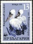 动物:欧洲:保加利亚:bg198402.jpg