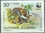 动物:欧洲:保加利亚:bg198903.jpg