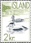动物:欧洲:冰岛:is195902.jpg