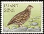动物:欧洲:冰岛:is196501.jpg