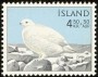 动物:欧洲:冰岛:is196502.jpg